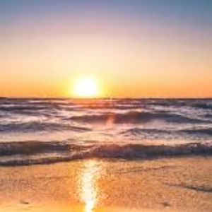 Meet your Posher, Rowan